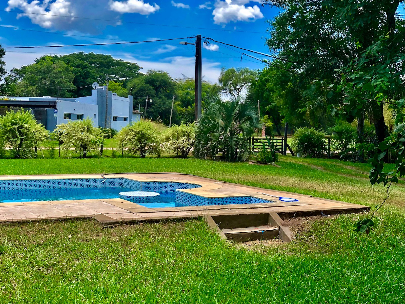 A healthy, lush green lawn surrounding a backyard in Florida