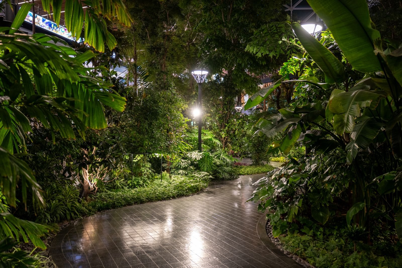 A lush garden pathway illuminated by landscape lighting at night