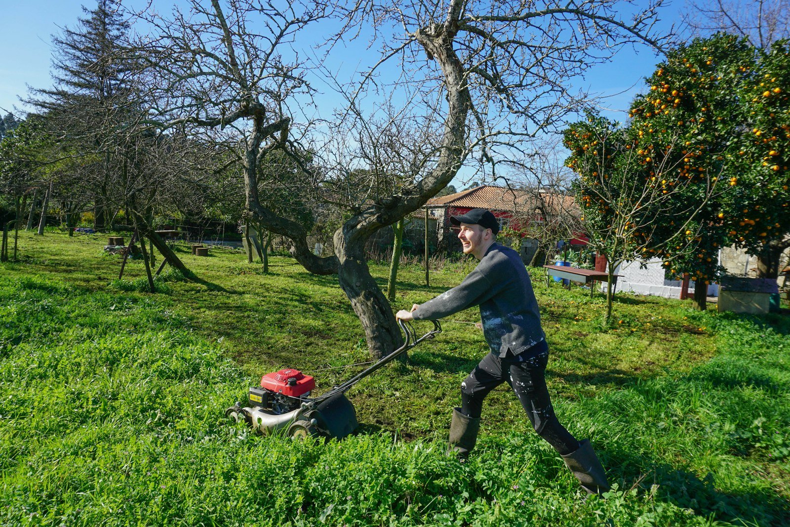Person mowing a green residential lawn