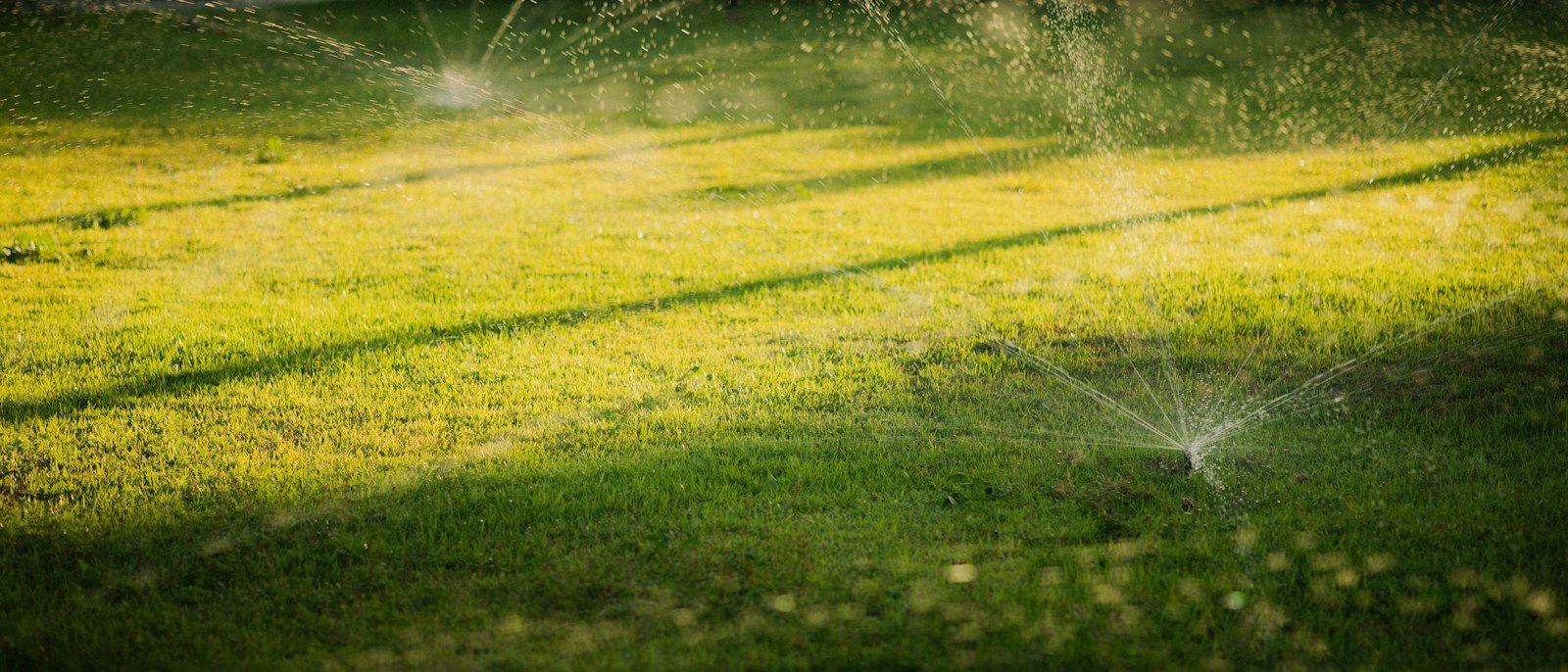 Sprinkler irrigation system watering a green lawn