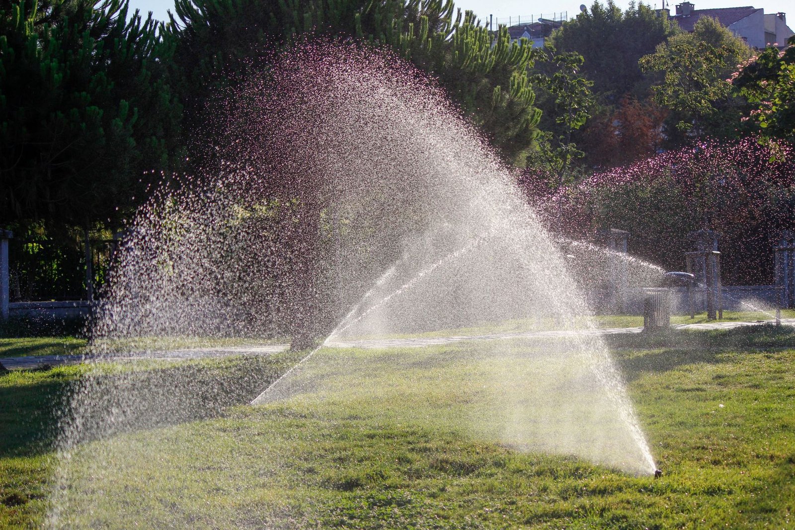 In-ground sprinkler irrigating a lush green lawn