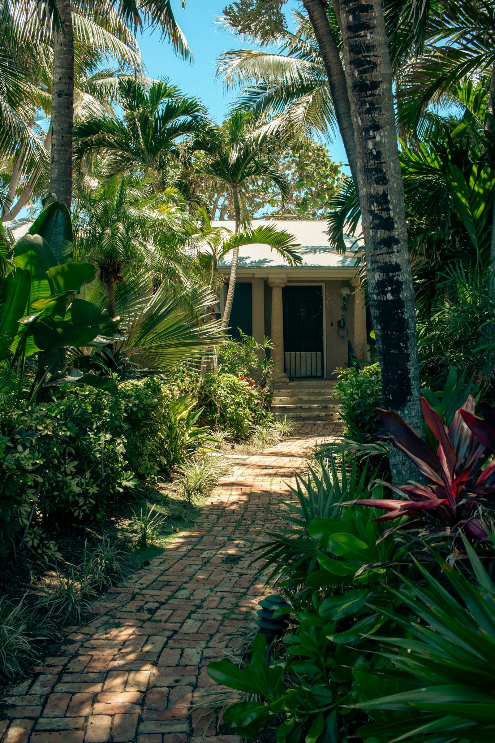 Florida home with mature palm trees and tropical landscaping in the front yard