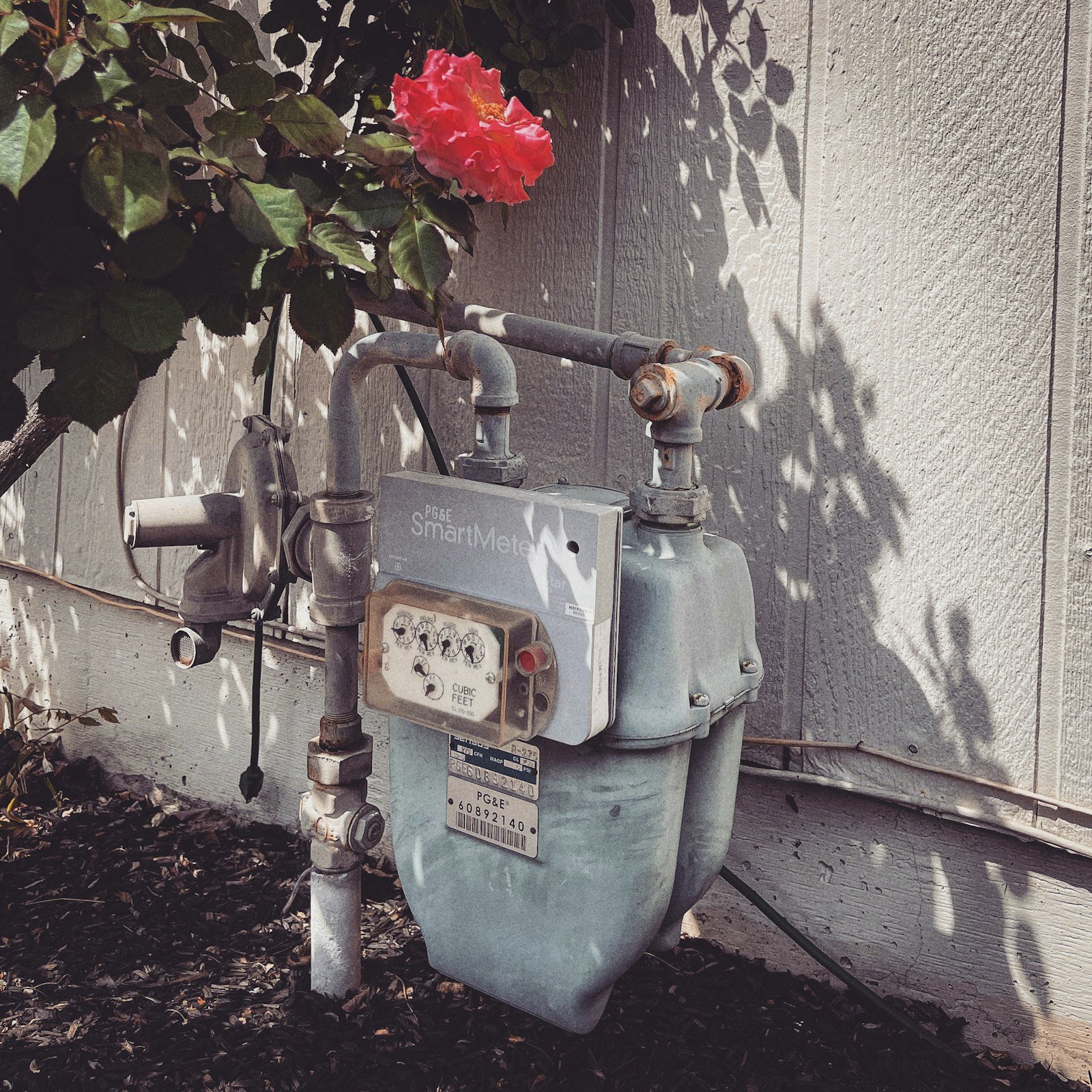 Close-up of a residential water meter near a landscaped garden bed